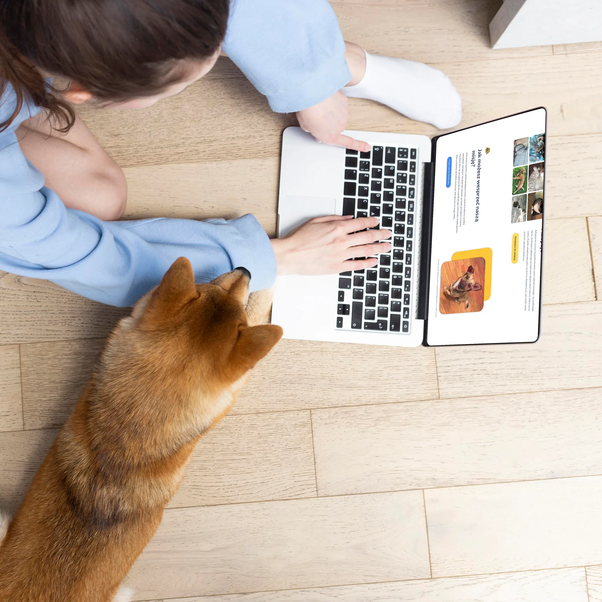 PKMarketing | Strony Internetowe | Dobre Duszki Portfolio 3